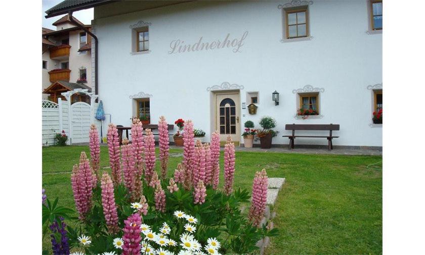 Lindnerhof Urlaub Am Bauernhof Hotel San Lorenzo di Sebato Bagian luar foto
